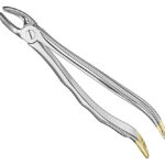 Extracting forceps, anat.