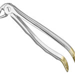 Extracting forceps, anat.