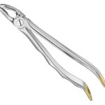 Extracting forceps, anat.