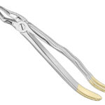 Extracting forceps, anat.