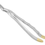 Extracting forceps, anat.