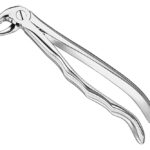 Extracting forceps, anat.