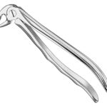 Extracting forceps, anat.