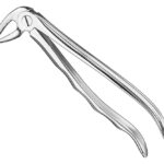 Extracting forceps, anat.