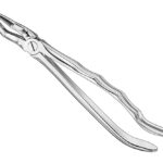 Extracting forceps, anat.