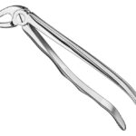 Extracting forceps, anat.