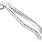 Extracting forceps, anat.