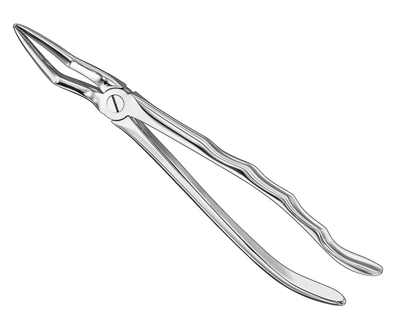 DCI-01-324_12_2.jpg Extracting forceps, anat. - Image 1