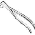 Extracting forceps, anat.