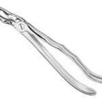Extracting forceps, anat.